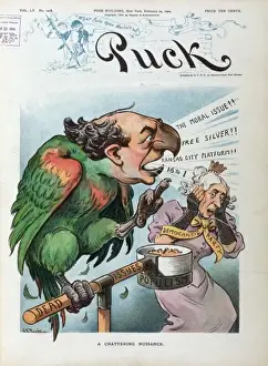 William Jennings Bryan Cartoon Prints: A chattering nuisance