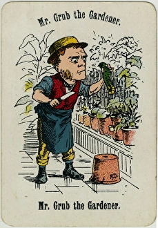 Cheery Families - Mr Grub the Gardener Cheery Families - Mr Grub the Gardener