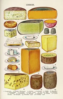 Cheese Selection Print, Household Management
