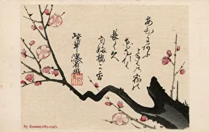 A Cherry Blossom Branch by Ogata Kenzan A Cherry Blossom Branch by Ogata Kenzan