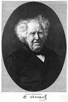 Old Age Portrait Prints: Chevreul, Old Age