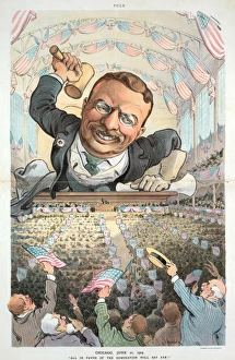 Chicago, June 21, 1904 - All in favor of the nomination wil Chicago, June 21, 1904 - All in favor of the nomination wil