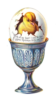 Chick in an eggcup on a cutout Christmas card Chick in an eggcup on a cutout Christmas card