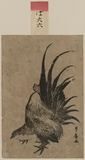 Early 19th Century Print of Chicken Chicken, circa 1804-1818