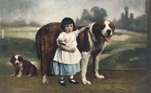 Saint Bernard Puppy Prints: Child and St Bernards