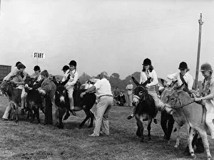 Children in donkey derby, Eastbourne, Sussex Children in donkey derby, Eastbourne, Sussex