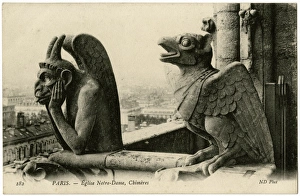 Chimeras - Notre Dame, Paris, France Chimeras - Notre Dame, Paris, France