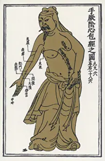 Alternative Medicine Prints: Chinese Acupuncture Chart Print