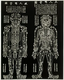 Traditional Chinese Acupuncture Points and Meridian Map