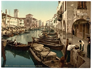 Chioggia, fish market, Venice, Italy Chioggia, fish market, Venice, Italy