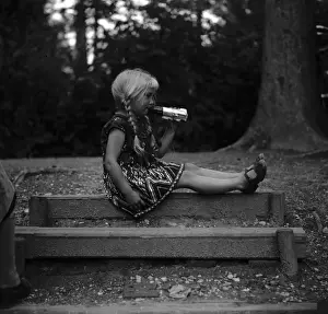 Wooden Bench Scene Prints: Chocolate Zeppelin