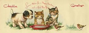Christmas card, dog, kittens and robins Christmas card, dog, kittens and robins