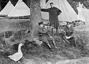 The Christmas goose that comes to Tommys bugle call The Christmas goose that comes to Tommys bugle call