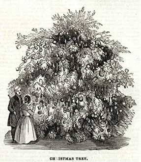 Christmas tree at the Temperance Hall 1845 Christmas tree at the Temperance Hall 1845