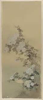 Antique Japanese Prints Online Prints: Chrysanthemums