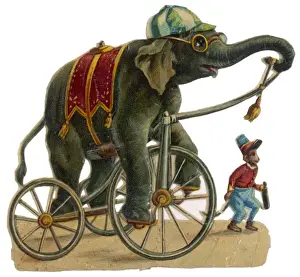 Circus Elephant & Monkey Print