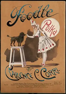 Circus Poodle Print