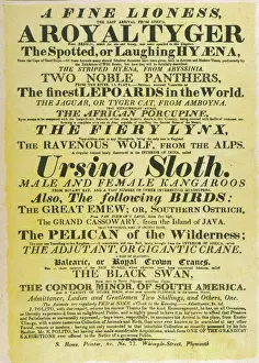 Sloth Prints: Circus Poster Print: Royal Tiger and Exotic Animals