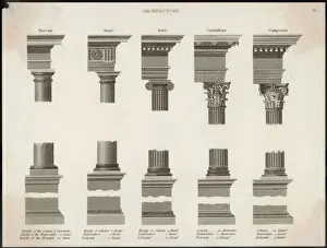 Classical Orders Columns Print: Tuscan, Doric, Ionic and Corinthian