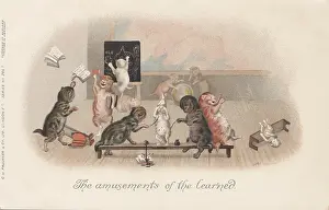Print of Cats in a Classroom from 1902