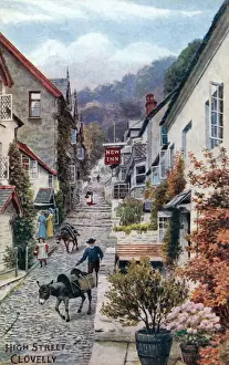Prints of High Street, Clovelly, Devon. Date: 1916 Clovelly Prints: Clovelly, Devon High Street Print, 1916