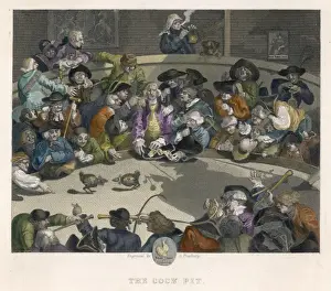 William Hogarth Prints: Cockfighting Print: Men Watching a Cockfight in a Ring