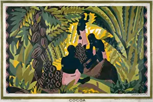 British Empire Marketing Board Posters Prints: Cocoa poster