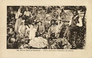 Cocoonery - Silk Manufacture - Syria Cocoonery - Silk Manufacture - Syria