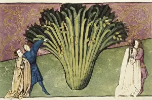 Gothic Art Miniature Painting Prints: Codex Granatensis: Tacuinum Sanitatis. 1400. Folio