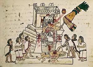 Aztec Human Sacrifice Prints: Codex Magliabecchi