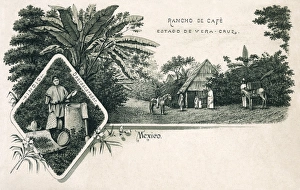 Coffee ranch in the state of Veracruz, Mexico Coffee ranch in the state of Veracruz, Mexico