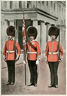 Coldstream Guards Print, 1894