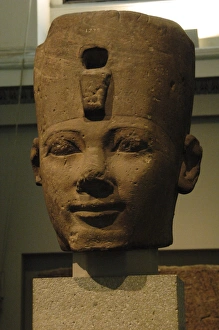 Colossal head problably from Thutmose I. Egypt Colossal head problably from Thutmose I. Egypt