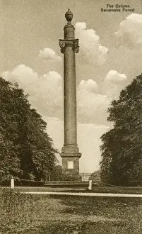 Framed Print : The Column, Savernake Forest Print