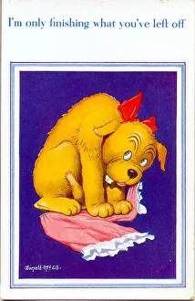 Comic postcard, Dog with pair of knickers Date: 20th century Comic postcard, Dog with pair of knickers Date: 20th century