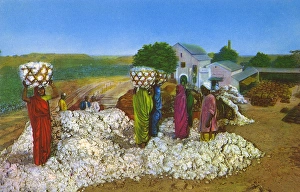 Commonwealth Instiute - Diorama - Cotton growing in India Commonwealth Instiute - Diorama - Cotton growing in India