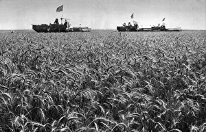 Communist China - land reclaimed for farming Communist China - land reclaimed for farming