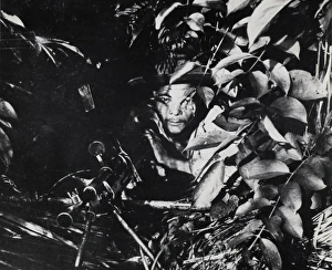 Concealed machine gun position in the jungle Concealed machine gun position in the jungle