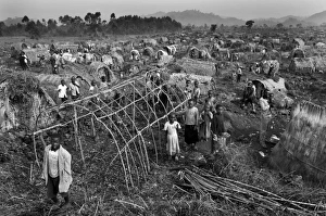 CONGO, Democratic Republic of the. Kitchanga CONGO, Democratic Republic of the. Kitchanga