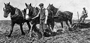 Conscientious objectors on Dartmoor Conscientious objectors on Dartmoor