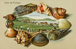 Constantinople - Princes Islands Constantinople - Princes Islands