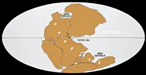 Continental Drift Print: Pangaea and Panthalassa 200 million years ago