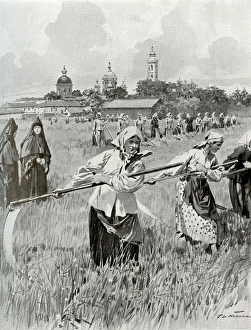 A convent in Novgorod: Nuns making hay A convent in Novgorod: Nuns making hay