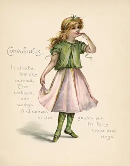 Victorian Era Flowers Prints: Convolvulus / Language of Flowers