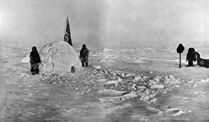 Cooks Expedition at the North Pole, 1908 Cooks Expedition at the North Pole, 1908