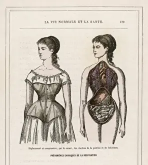 Historical Women's Clothing Styles Prints: What Corsets Do