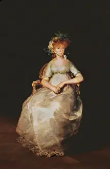 Francisco De Goya Prints: The Countess of Chinchon
