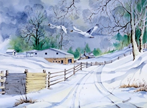 Country lane in winter, with two flying swans Country lane in winter, with two flying swans