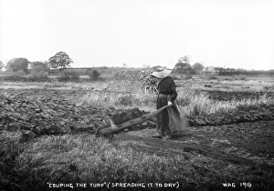Couping the Turf (Spreading It to Dry) Couping the Turf (Spreading It to Dry)