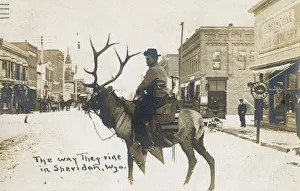 Cowboy riding elk, Sheridan, Wyoming, USA Cowboy riding elk, Sheridan, Wyoming, USA